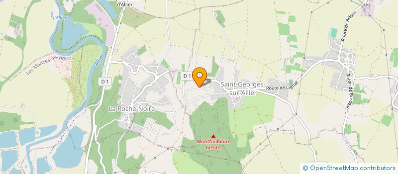 localisation de l'entreprise LE LIEN VERT  SAINT-GEORGES-SUR-ALLIER