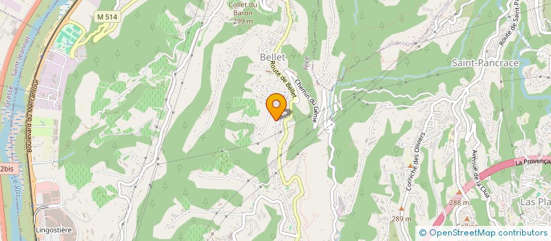 localisation de l'entreprise LE LILAS BLANC  MAZEYRAT-D'ALLIER