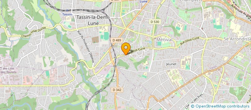 localisation de l'entreprise LE LION D OR  LYON