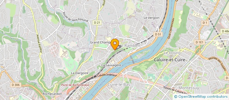 localisation de l'entreprise LE LION DES BERGES  LYON