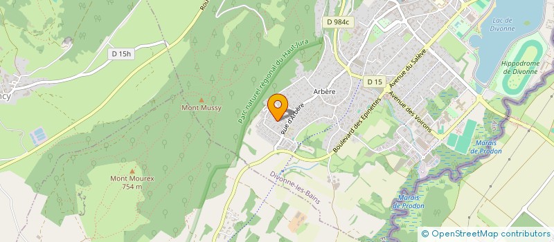 localisation de l'entreprise LE LONG CHAMP à DIVONNE-LES-BAINS
