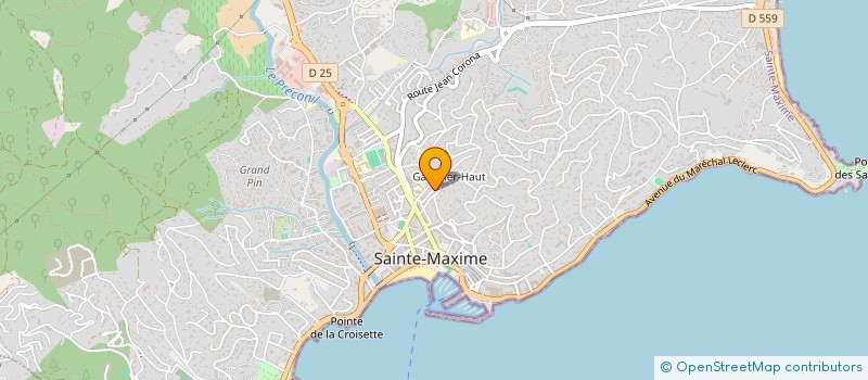 localisation de l'entreprise LE LOTUS à SAINTE-MAXIME
