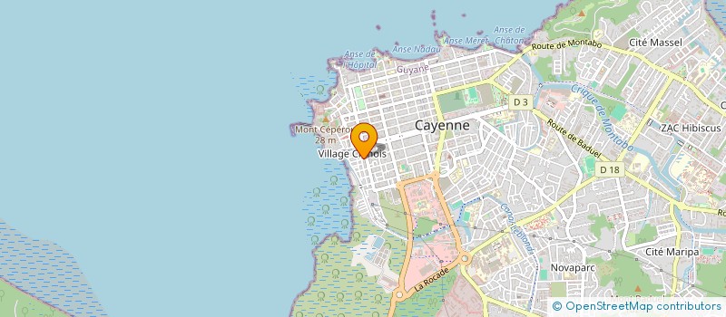 localisation de l'entreprise LE LOTUS BLEU  CAYENNE