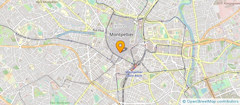 localisation de l'entreprise LE LOUNGE à MONTPELLIER