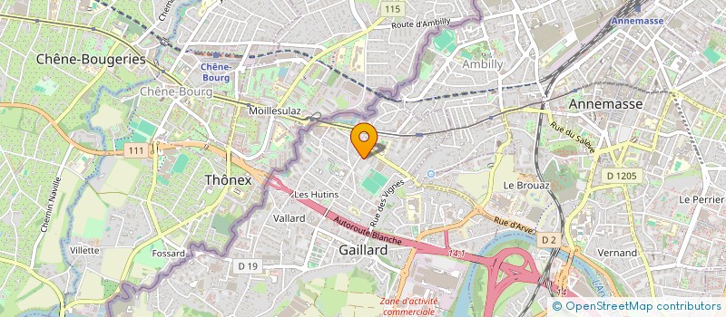 localisation de l'entreprise LE LYNX  GAILLARD