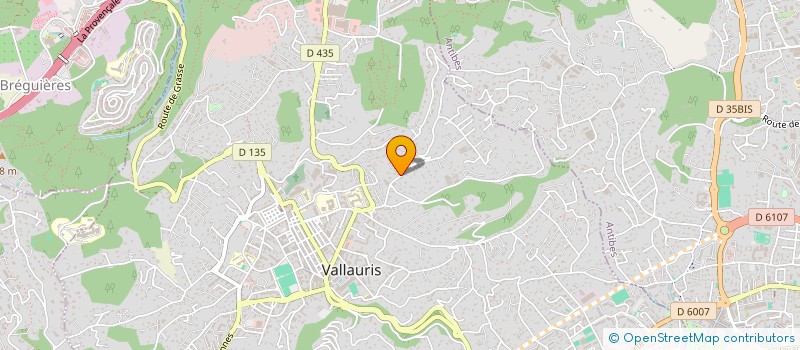 localisation de l'entreprise LE LYS 89 à VALLAURIS
