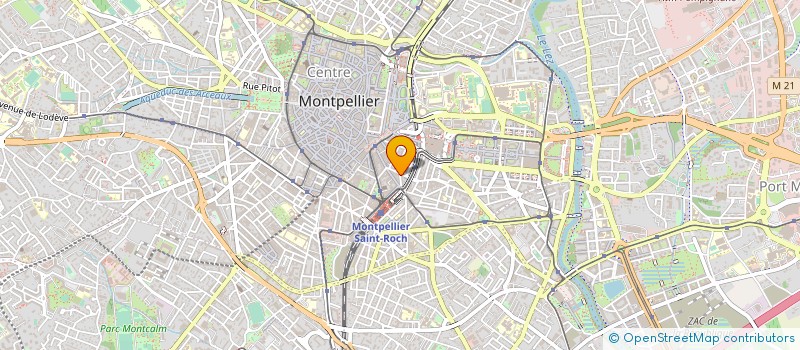 localisation de l'entreprise LE MAMBO SHOW à MONTPELLIER