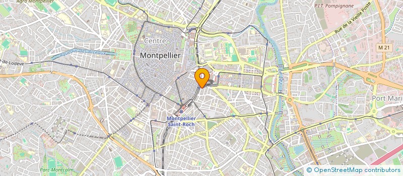 localisation de l'entreprise LE MANDARIN à MONTPELLIER