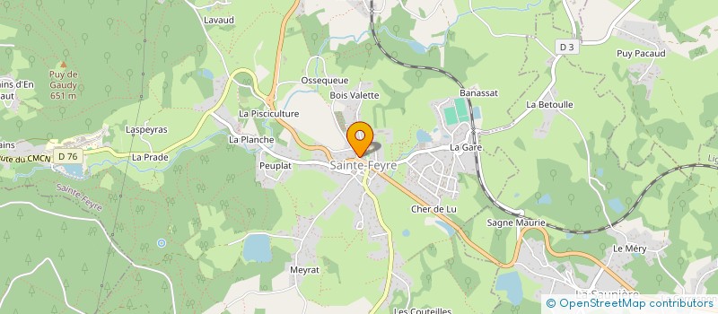 localisation de l'entreprise LE MANOIR DE GRANDCHAMP à SAINTE-FEYRE