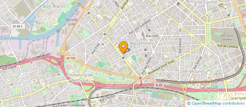 localisation de l'entreprise LE MARCHE DALEP à LILLE
