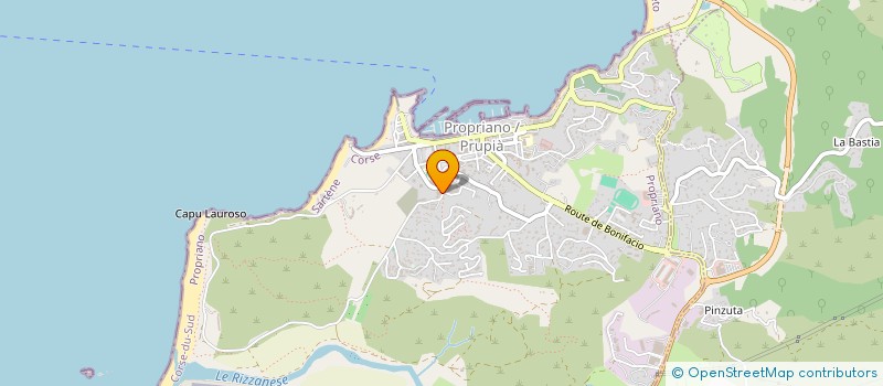 localisation de l'entreprise LE MARCHE DE LA PLAINE à PROPRIANO