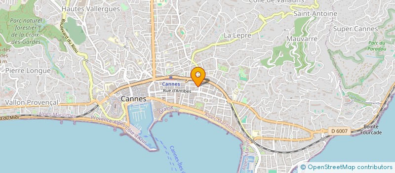 localisation de l'entreprise LE MARIOLA APPART HOTEL  CANNES