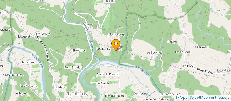 localisation de l'entreprise LE MAS DE LA LICHERE  CHAMBONAS