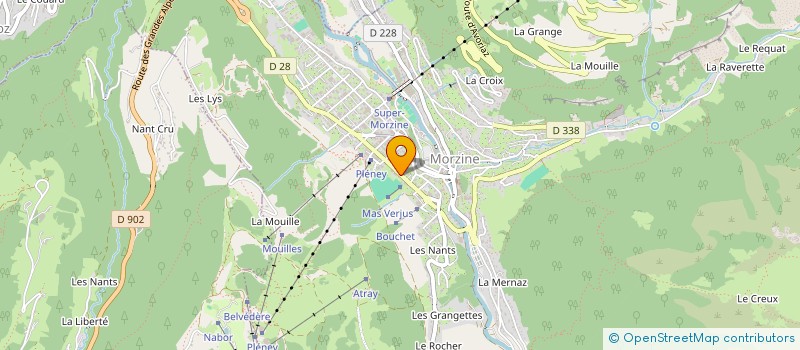 localisation de l'entreprise LE MAS VERJUS  MORZINE