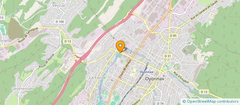 localisation de l'entreprise LE MICHELET à OYONNAX