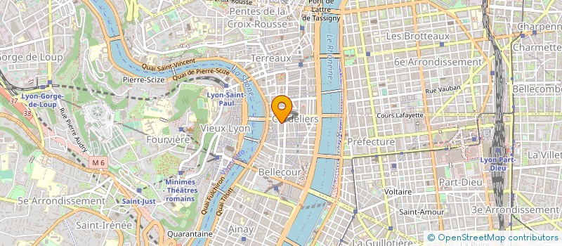 localisation de l'entreprise LE MIX'T à LYON