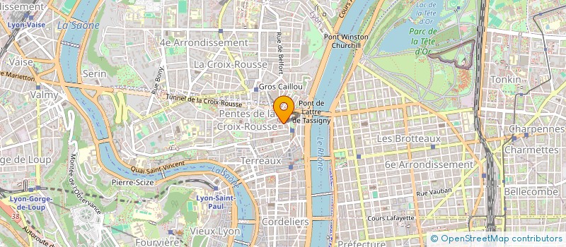 localisation de l'entreprise LE MONDE A L'ENVERS à LYON