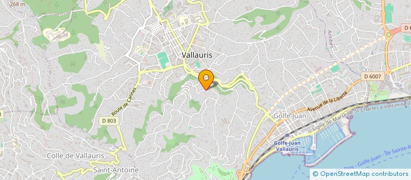 localisation de l'entreprise LE MONDE DE LA MUSIQUE à VALLAURIS
