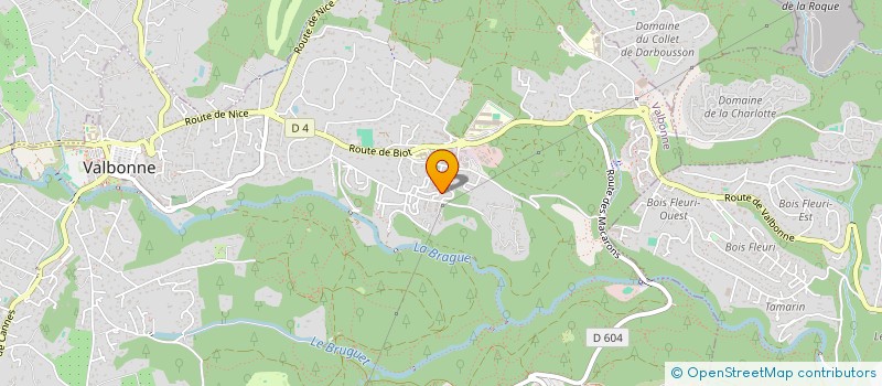 localisation de l'entreprise LE MONT BLANC DES MICI à VALBONNE