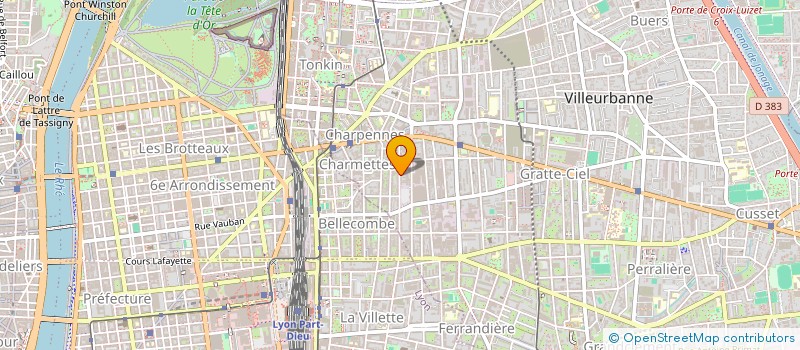localisation de l'entreprise LE MONT CARMEL à VILLEURBANNE