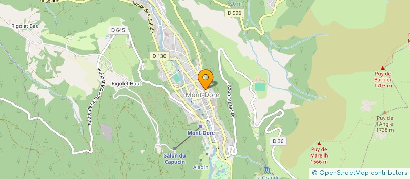 localisation de l'entreprise LE MONT DORE  MONT-DORE