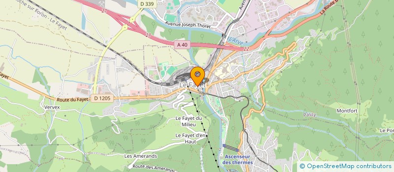 localisation de l'entreprise LE MONT LOCAL  SAINT-GERVAIS-LES-BAINS