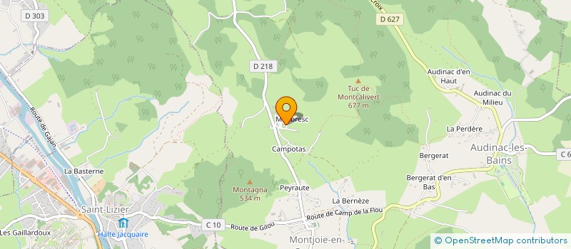 localisation de l'entreprise LE NAIF DE BERDUC à MONTJOIE-EN-COUSERANS