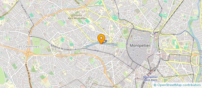 localisation de l'entreprise LE NAIN JAUNE à MONTPELLIER