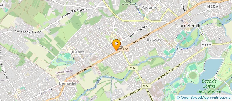 localisation de l'entreprise LE NEM  TOURNEFEUILLE