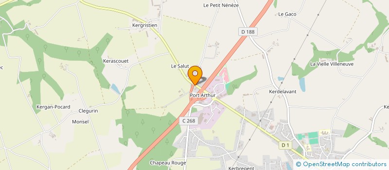 localisation de l'entreprise LE NEUN POULIZAC  PLUMELIAU-BIEUZY