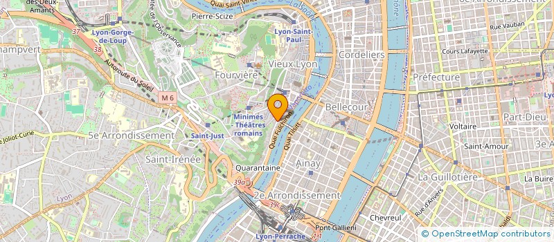 localisation de l'entreprise LE NEW BAMBOU  LYON