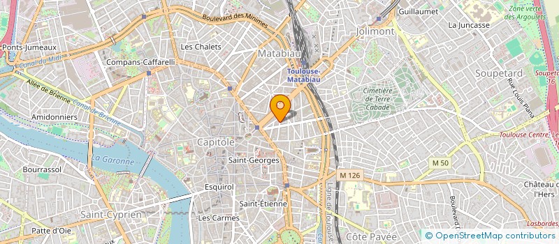 localisation de l'entreprise LE NEW GOA  TOULOUSE