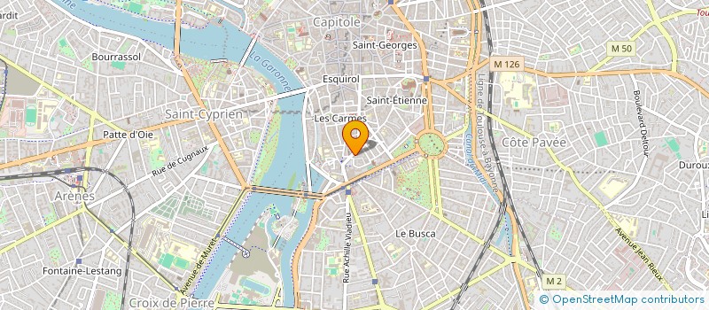 localisation de l'entreprise LE NEW LANGUEDOC  TOULOUSE