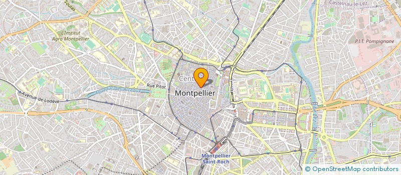 localisation de l'entreprise LE NEW MARTIN'S  MONTPELLIER