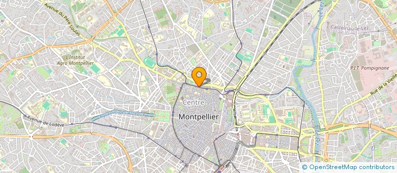 localisation de l'entreprise LE NEW YORKAIS à MONTPELLIER