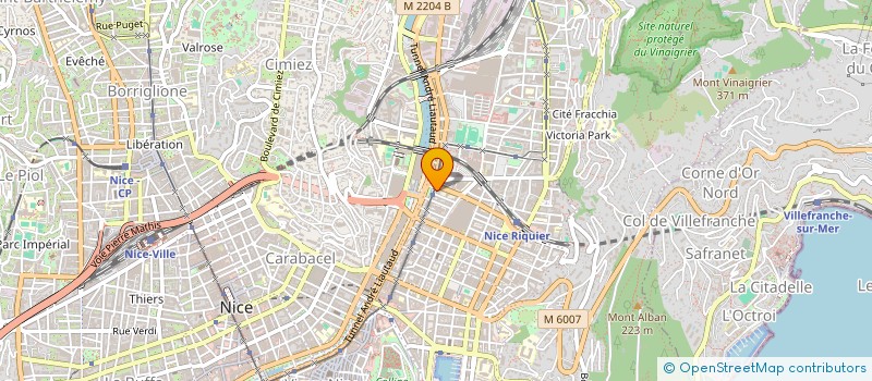 localisation de l'entreprise LE NICE PALACE à NICE