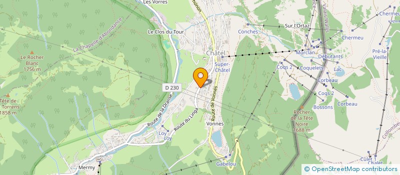 localisation de l'entreprise LE NID ALPIN à CHATEL