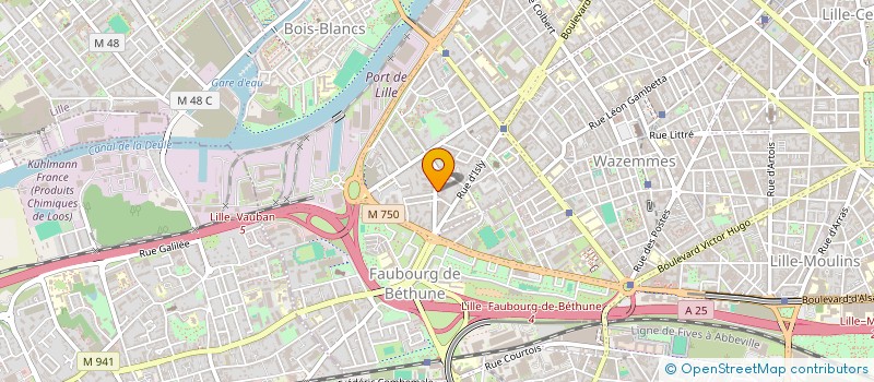 localisation de l'entreprise LE NOUVEAU LIEU à LILLE