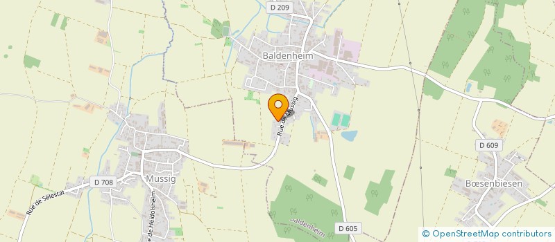 localisation de l'entreprise LE NOYER  BALDENHEIM