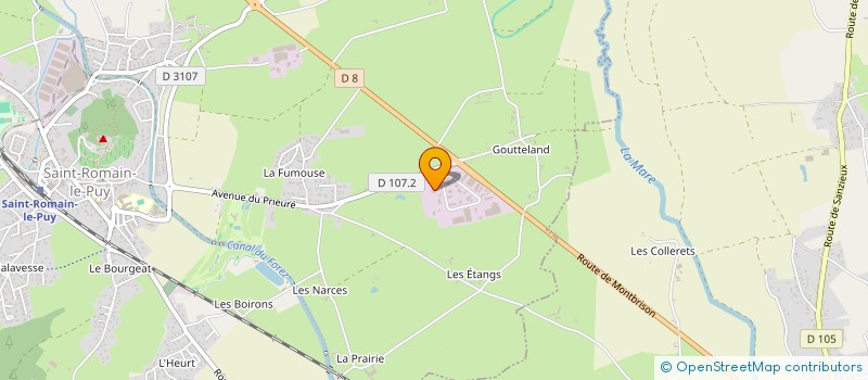 localisation de l'entreprise LE PALACE  SAINT-ROMAIN-LE-PUY