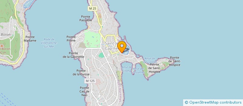 localisation de l'entreprise LE PALAIS  SAINT-JEAN-CAP-FERRAT