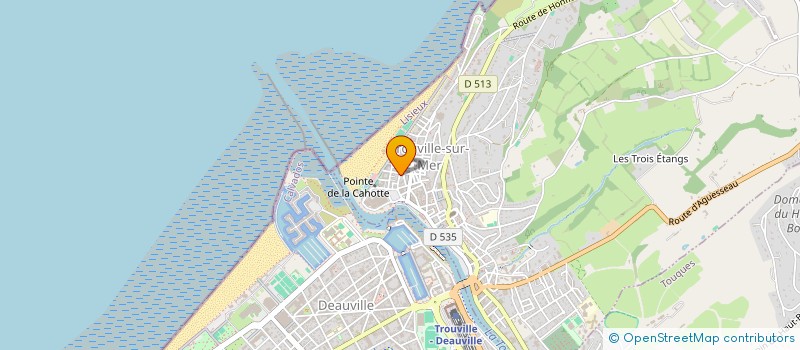 localisation de l'entreprise LE PALAIS DES ARTS à TROUVILLE-SUR-MER