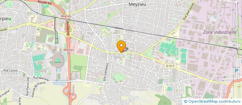 localisation de l'entreprise LE PALAIS DES DELICES à MEYZIEU
