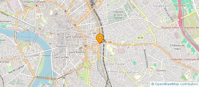localisation de l'entreprise LE PALAIS DU NAN à TOULOUSE
