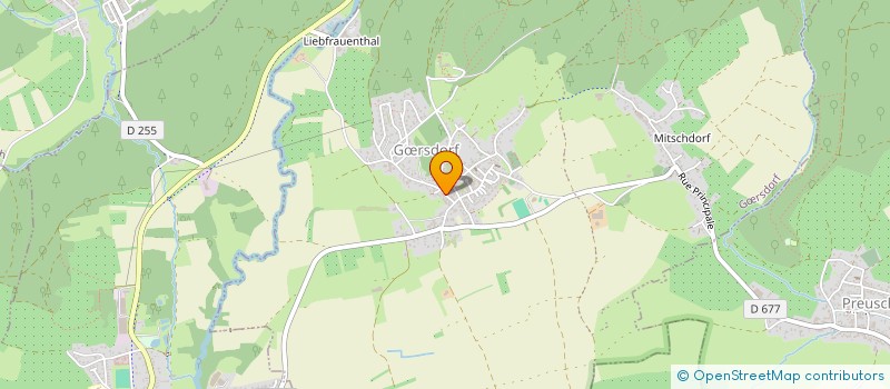 localisation de l'entreprise LE PALAIS GOURMAND  GRSDORF