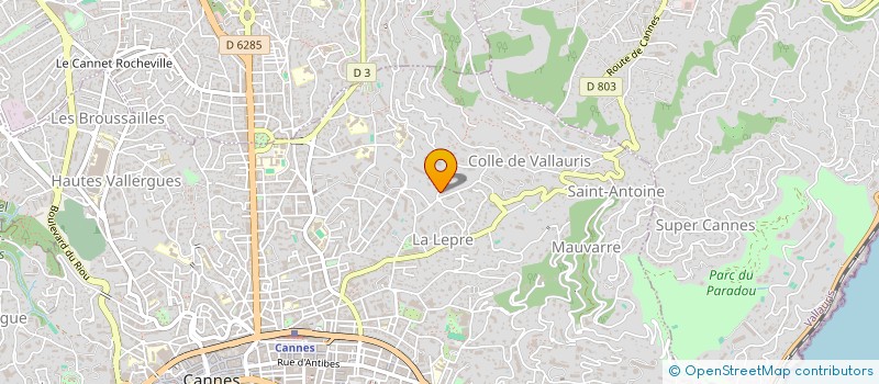 localisation de l'entreprise LE PALLADIUM à CANNES