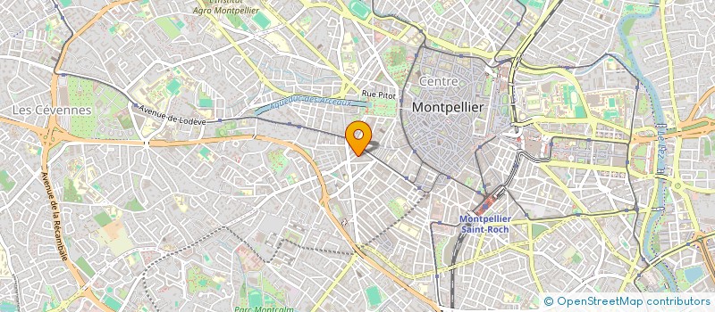 localisation de l'entreprise LE PALMIER à MONTPELLIER