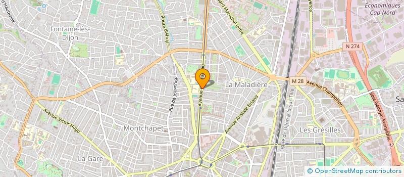 localisation de l'entreprise LE PALMIER  DIJON