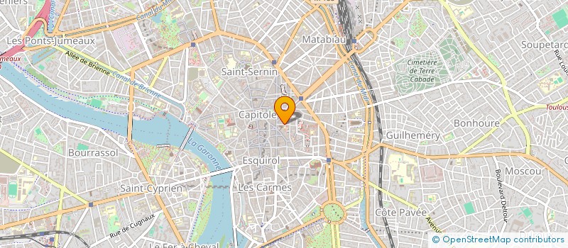 localisation de l'entreprise LE PALMIER à TOULOUSE