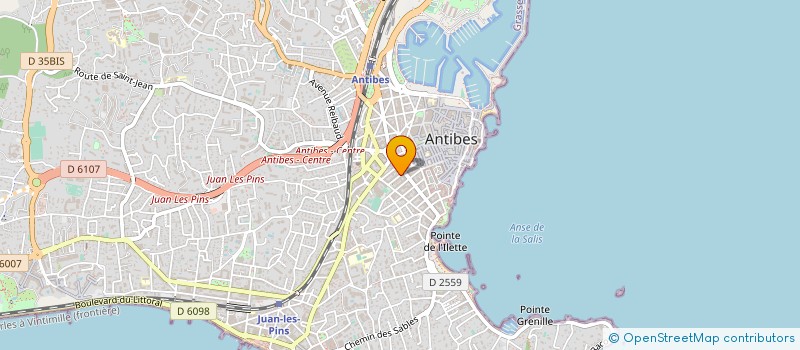 localisation de l'entreprise LE PALMIER D'ANTIBES à ANTIBES